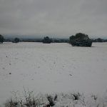 lagunas 10