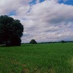 lagunas 14