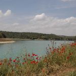 lagunas 9
